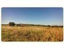 Edgewood, TX 75117,LOT 1 PR 7017