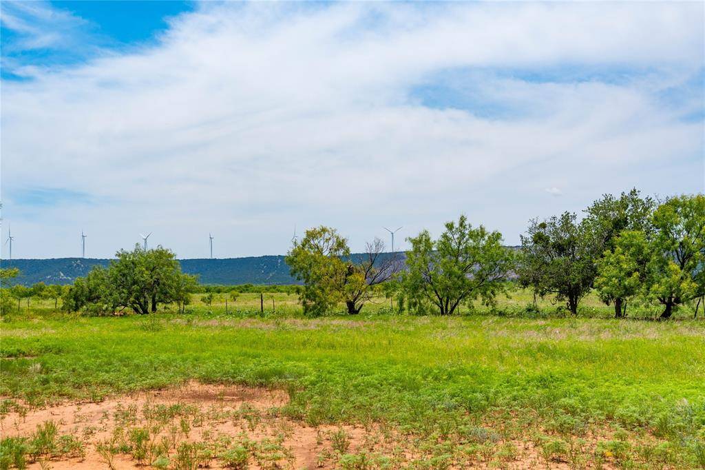 Trent, TX 79561,TBD COUNTY RD 611