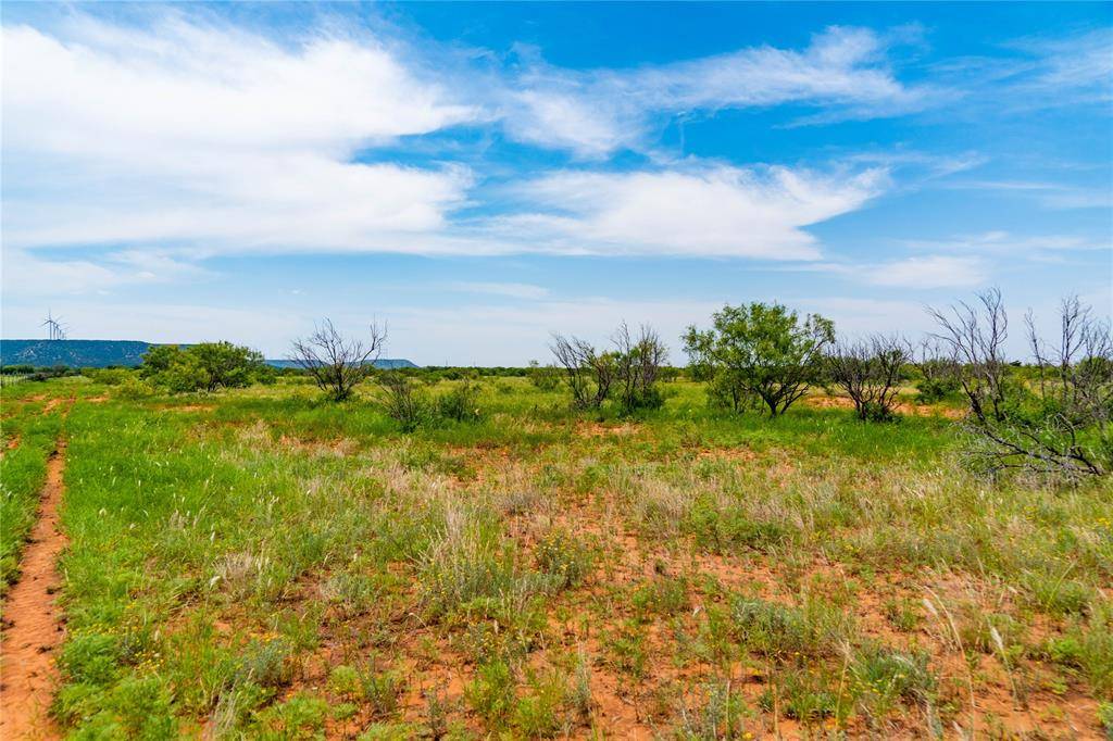 Trent, TX 79561,TBD COUNTY RD 611