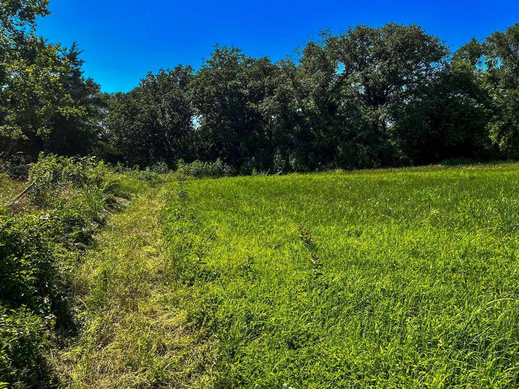 Canton, TX 75103,LOT 16 CHERRY CREEK