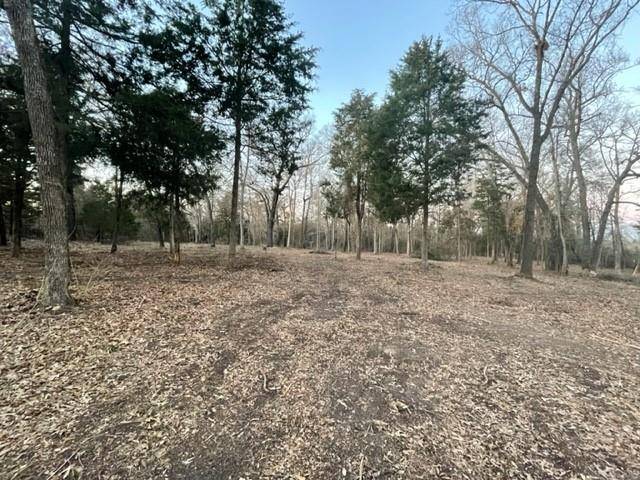 Emory, TX 75440,000 Lot 65 Rains  CR 4269