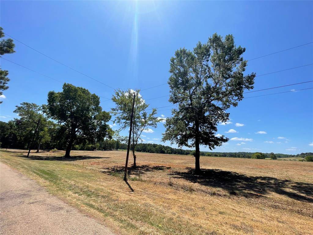 Bullard, TX 75757,LOT 2 County Road 3807