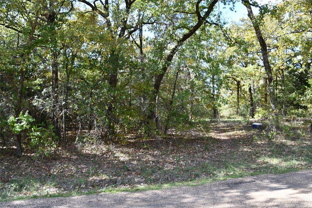 Mabank, TX 75156,154 Kanawka Road