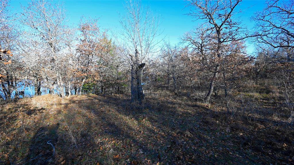 Bowie, TX 76230,Lot 333, TBD Carter Court