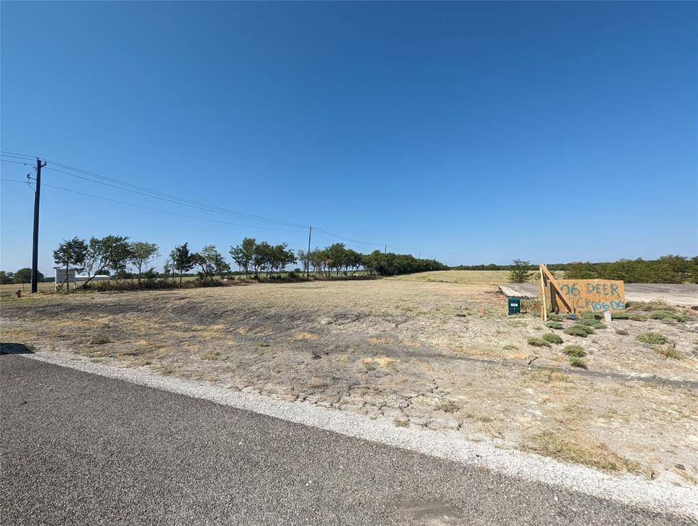 Gunter, TX 75058,102 Deer Crossing