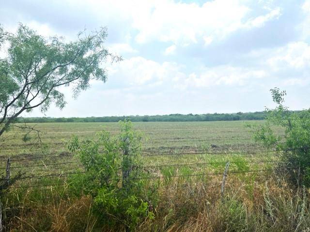 Comanche, TX 76442,TBD2 - 200 County Road 308