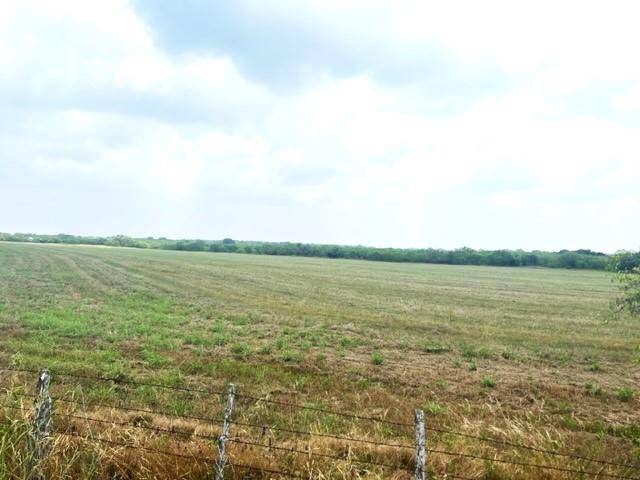 Comanche, TX 76442,TBD2 - 200 County Road 308