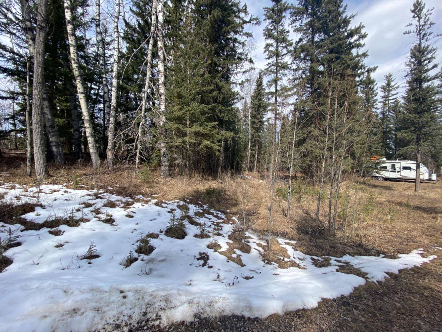 Rural Mountain View County, AB T0M 1X0,162 Woodfrog WAY