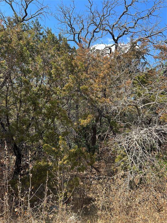 Granbury, TX 76048,922 Scenic Drive