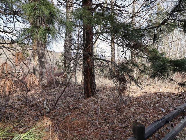 34 COTTONWOOD DRIVE, North Shuswap, BC V0E 1M4