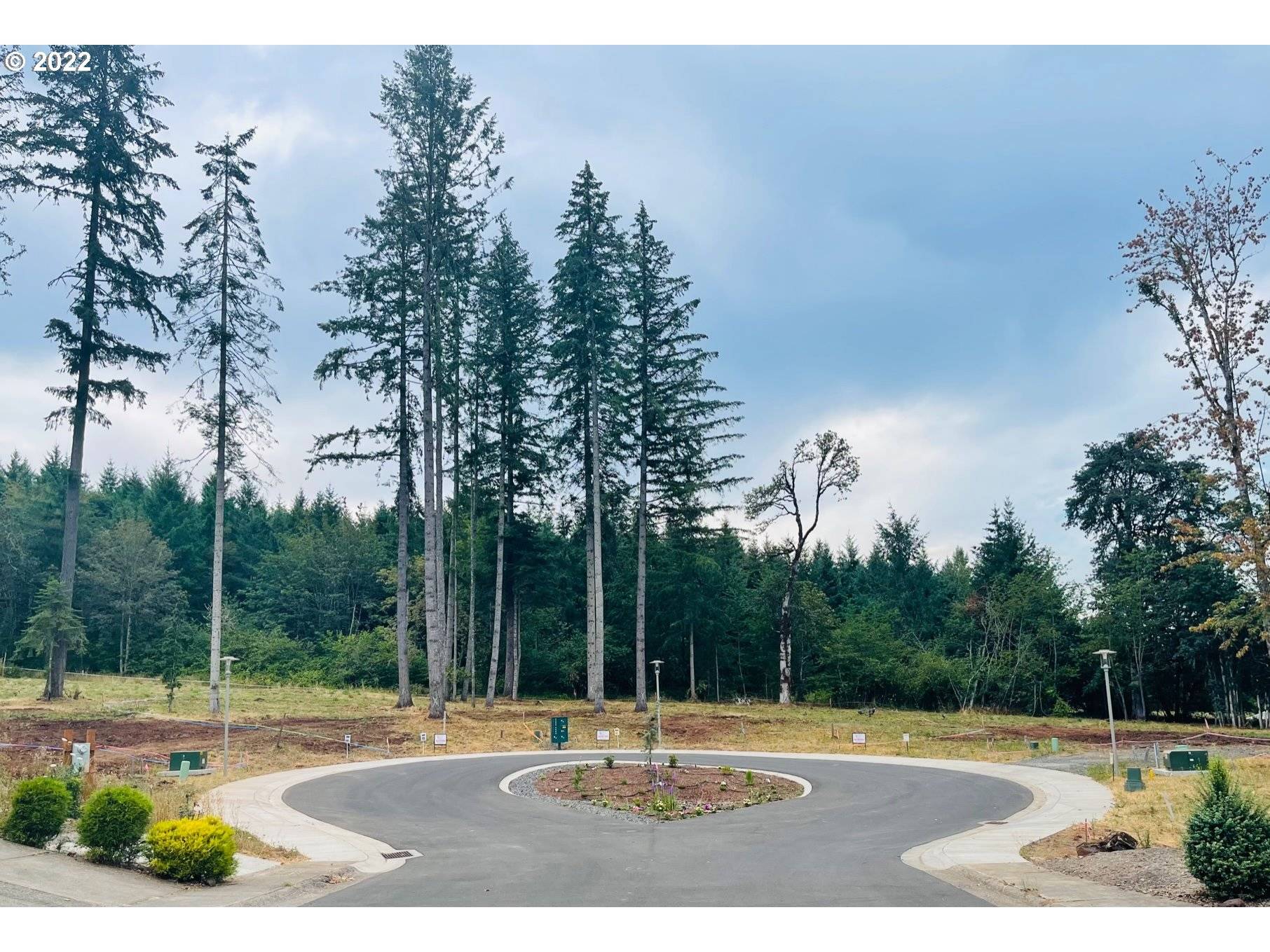 Sweet Home, OR 97386,Strawberry Crest #lot 4