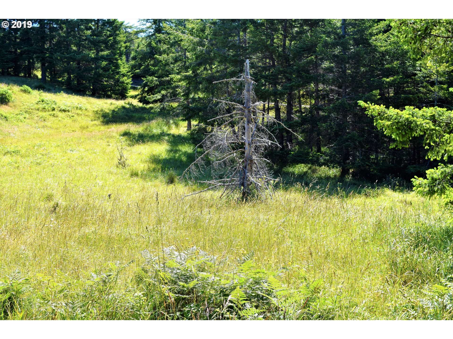 2804 Indian Hills LOOP, Gold Beach, OR 97444