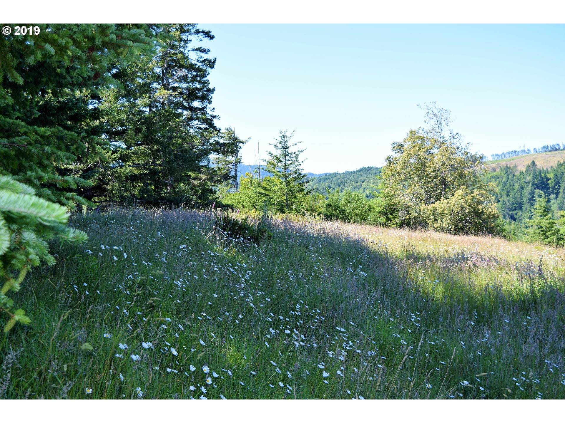 2804 Indian Hills LOOP, Gold Beach, OR 97444