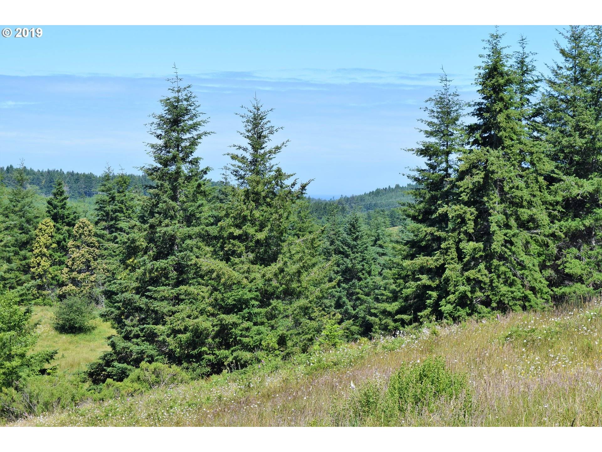 2804 Indian Hills LOOP, Gold Beach, OR 97444