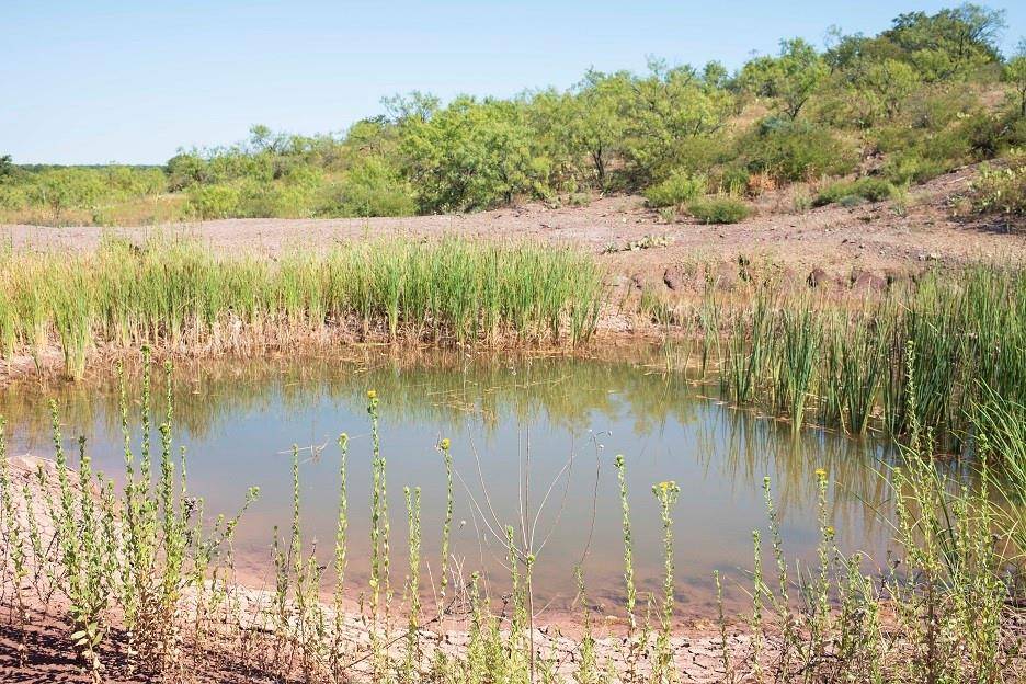 Brownwood, TX 76801,tbd County Road 149