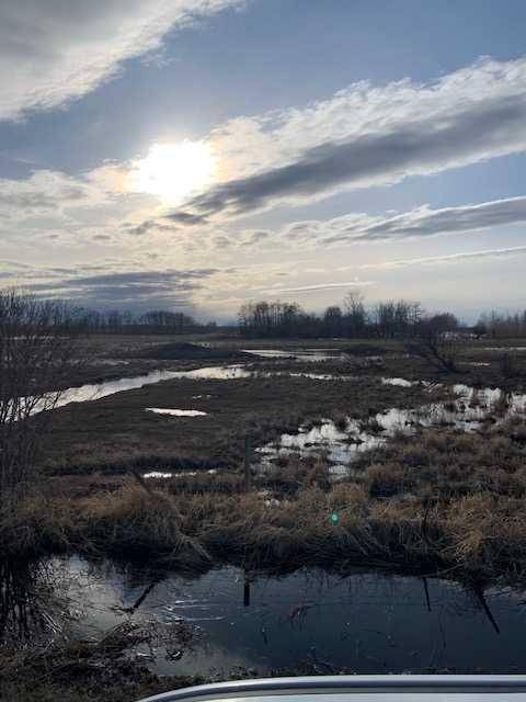 Rural Red Deer County, AB T4G 0G3,Rge Rd 283