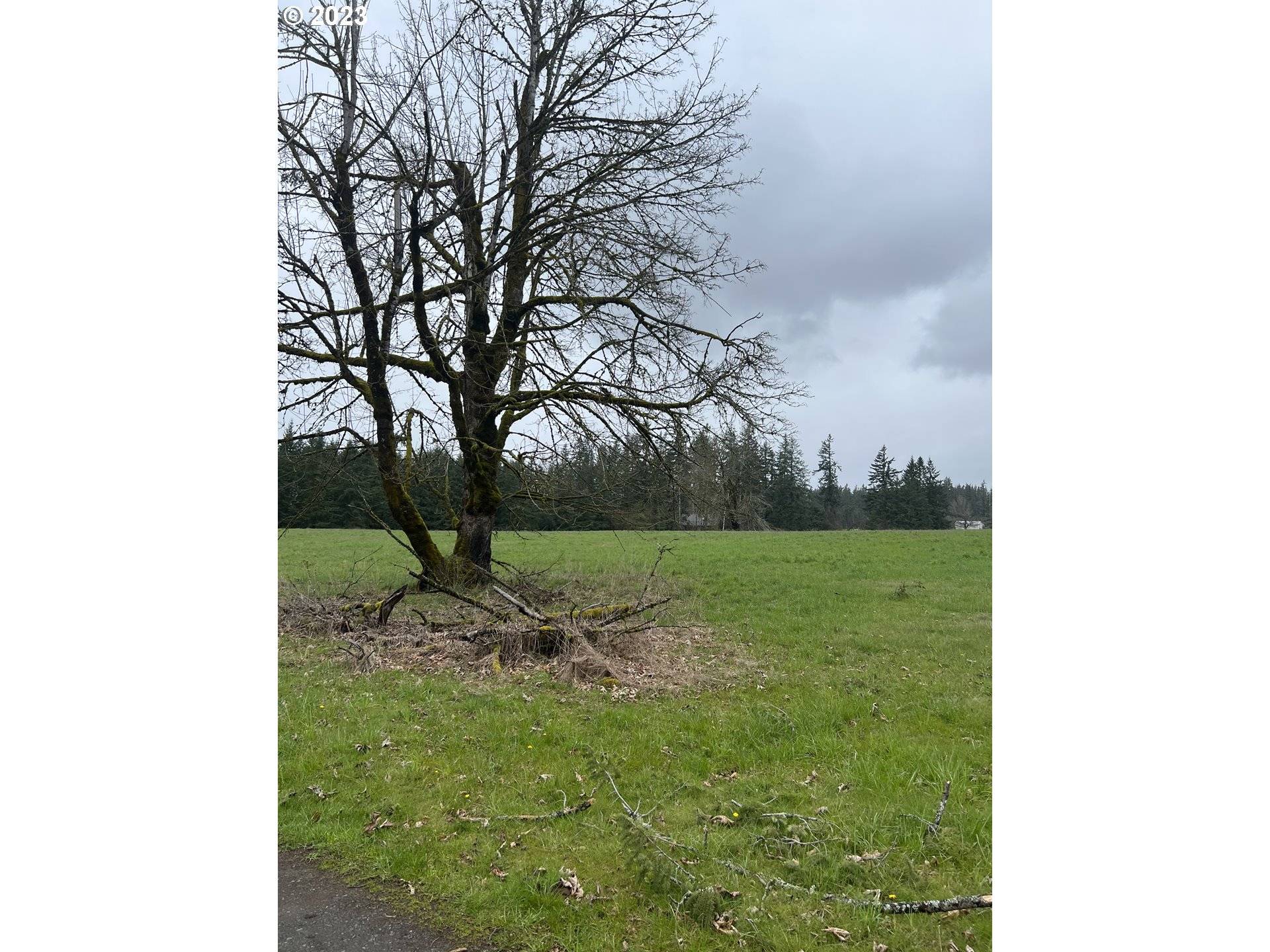 Oregon City, OR 97045,0 S Strowbridge RD