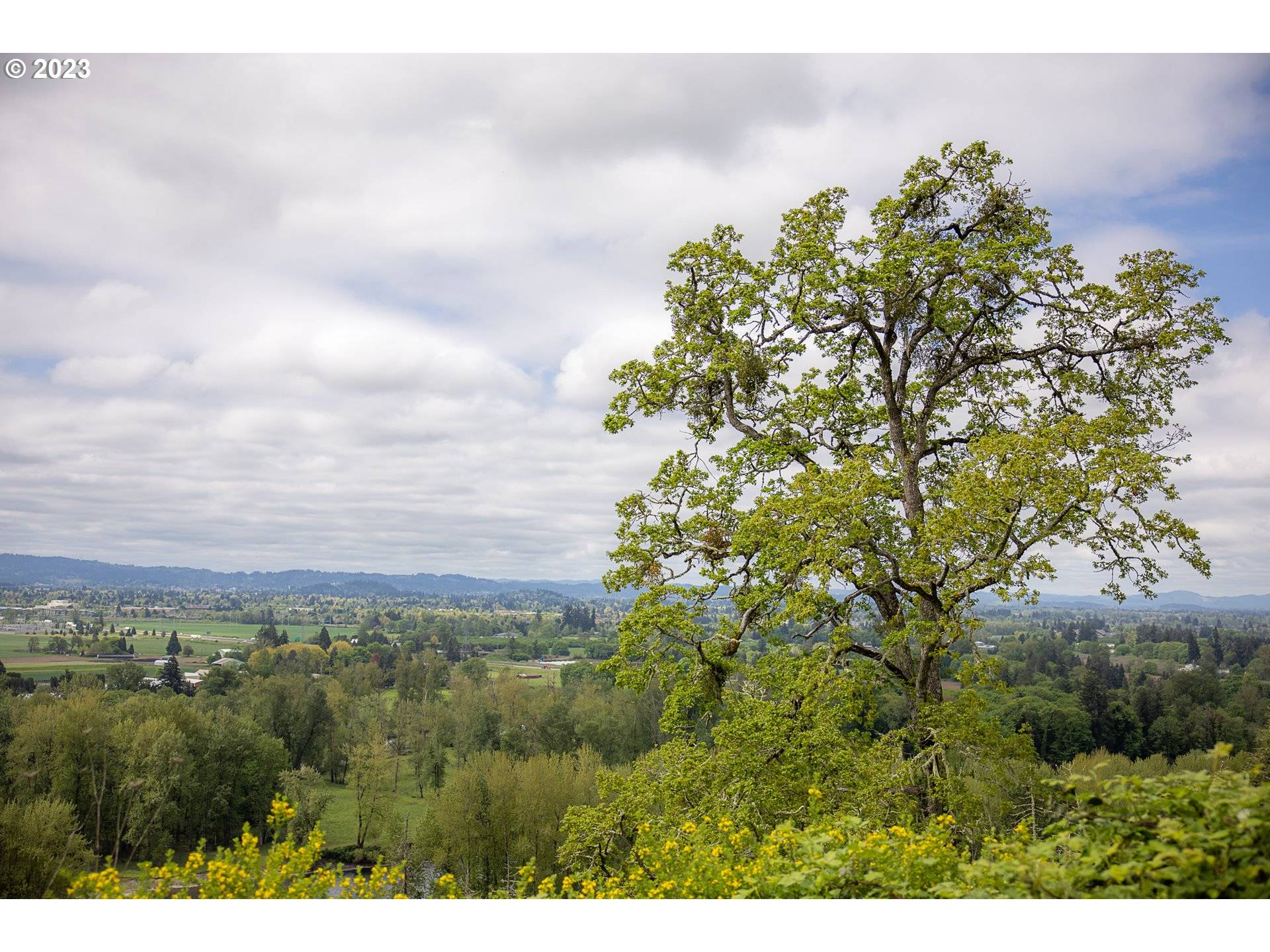 Eugene, OR 97408,McKenzie View DR