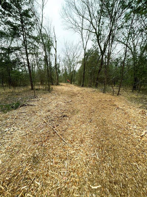 Grand Saline, TX 75140,00 VZ County Road 1514