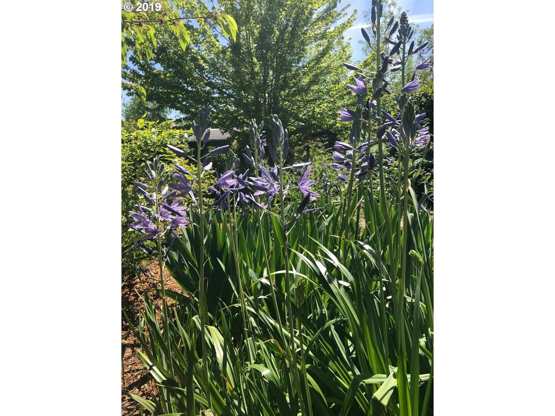 Eugene, OR 97405,2990 HIGH ST