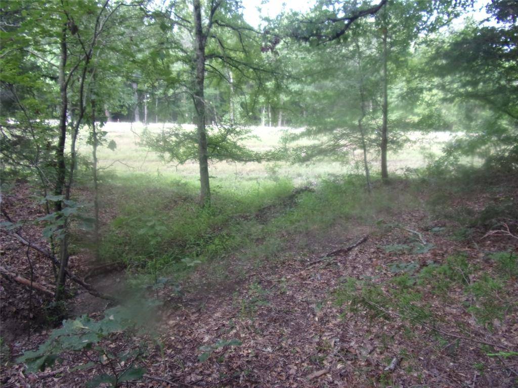 Murchison, TX 75778,407, 411 Long Shadow