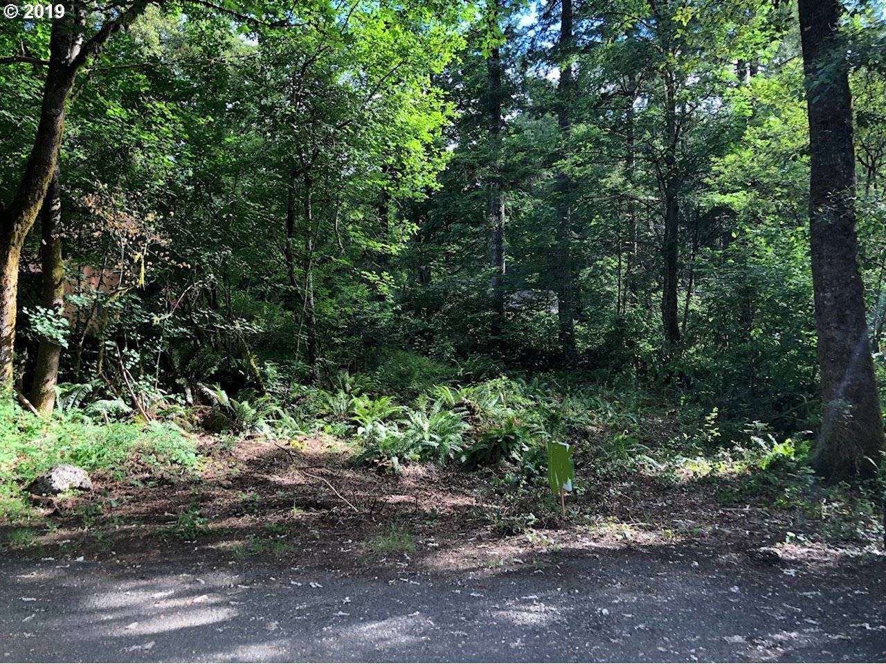 Rhododendron, OR 97049,64873 E SANDY RIVER LN