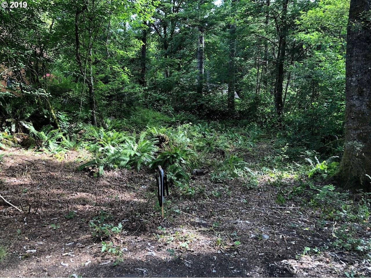 Rhododendron, OR 97049,64873 E SANDY RIVER LN