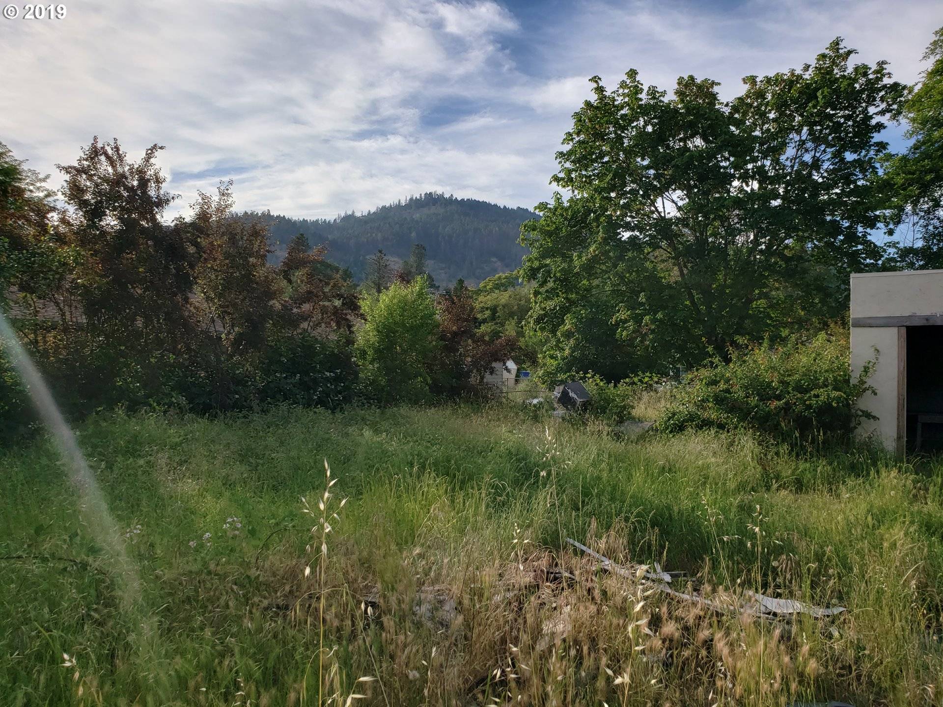 Myrtle Creek, OR 97457,867 NE JOHNSON ST