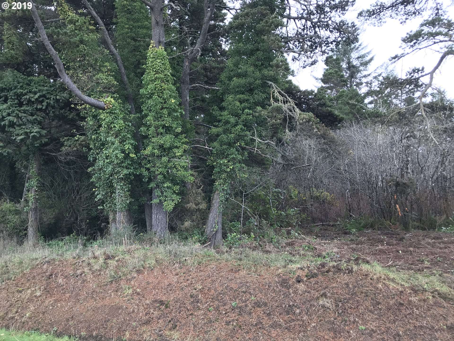 Bandon, OR 97411,ASTOR LN