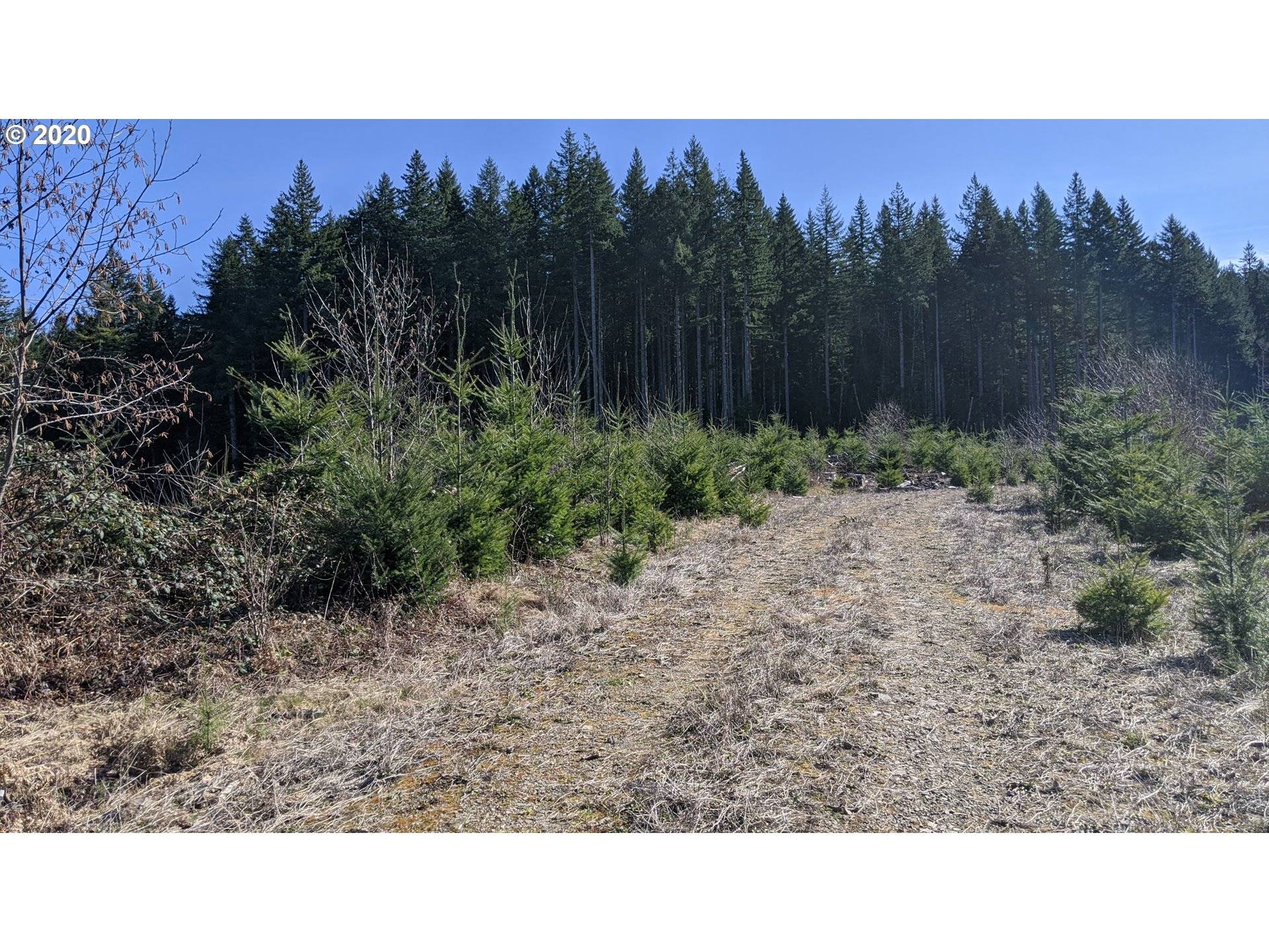 Corbett, OR 97019,E HAINES RD