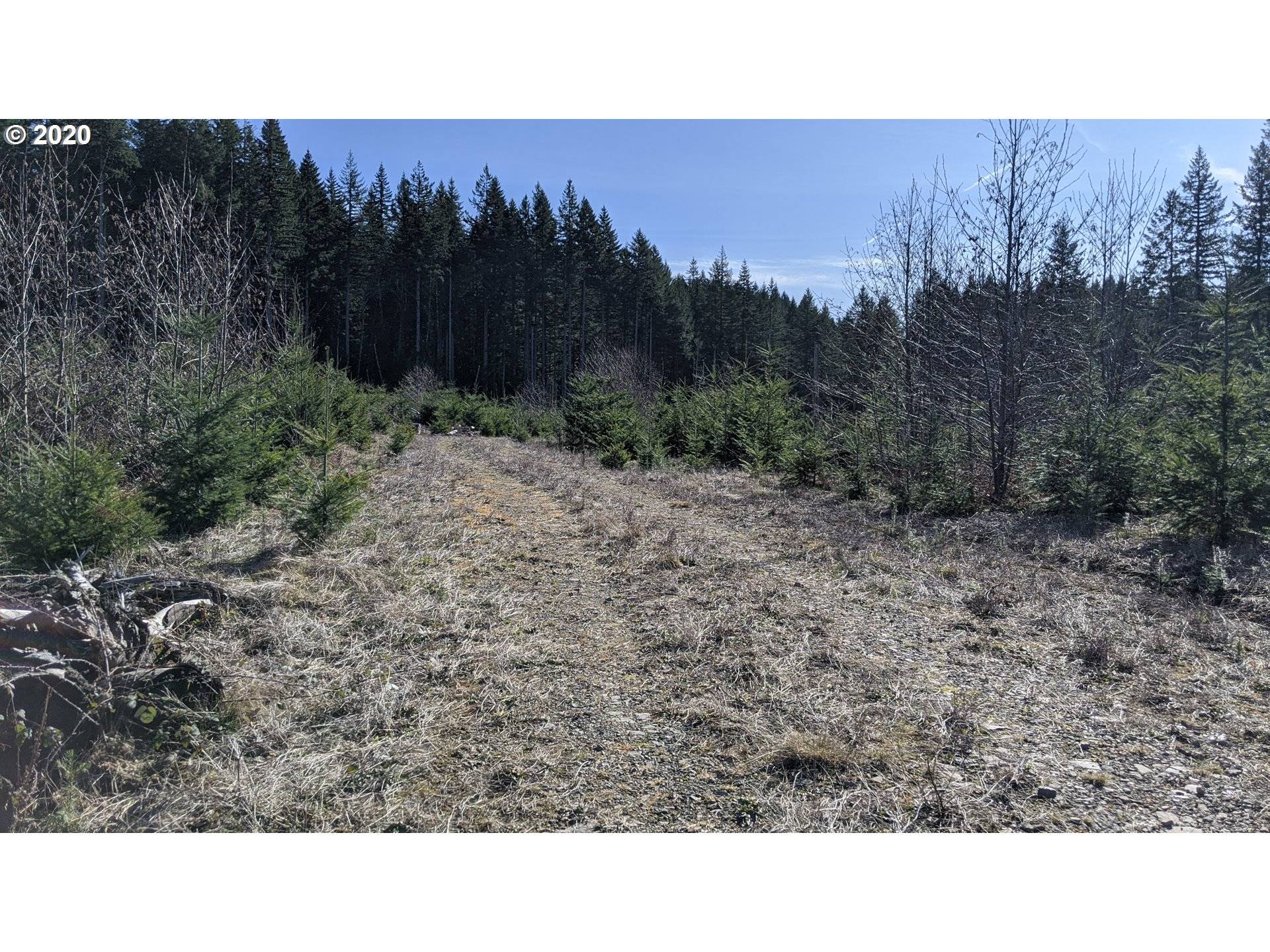 Corbett, OR 97019,E HAINES RD