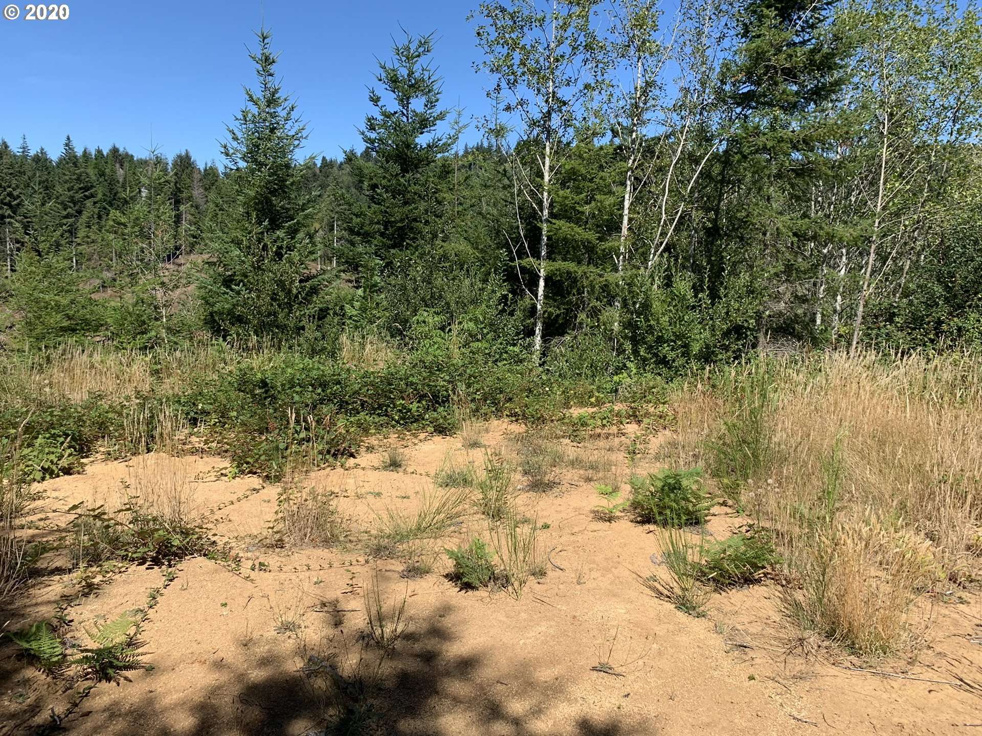 Coos Bay, OR 97420,0 MACGREGOR HTS #1100