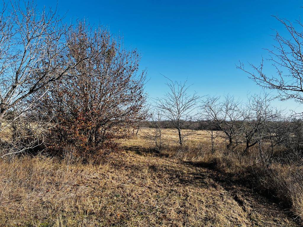 Hubbard, TX 76648,TBD HCR 3350 #Tract 20