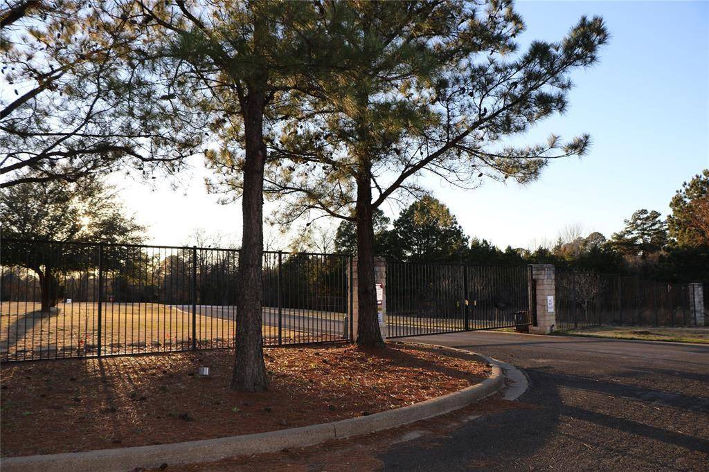 Larue, TX 75770,Lot 441 Safari Bluff