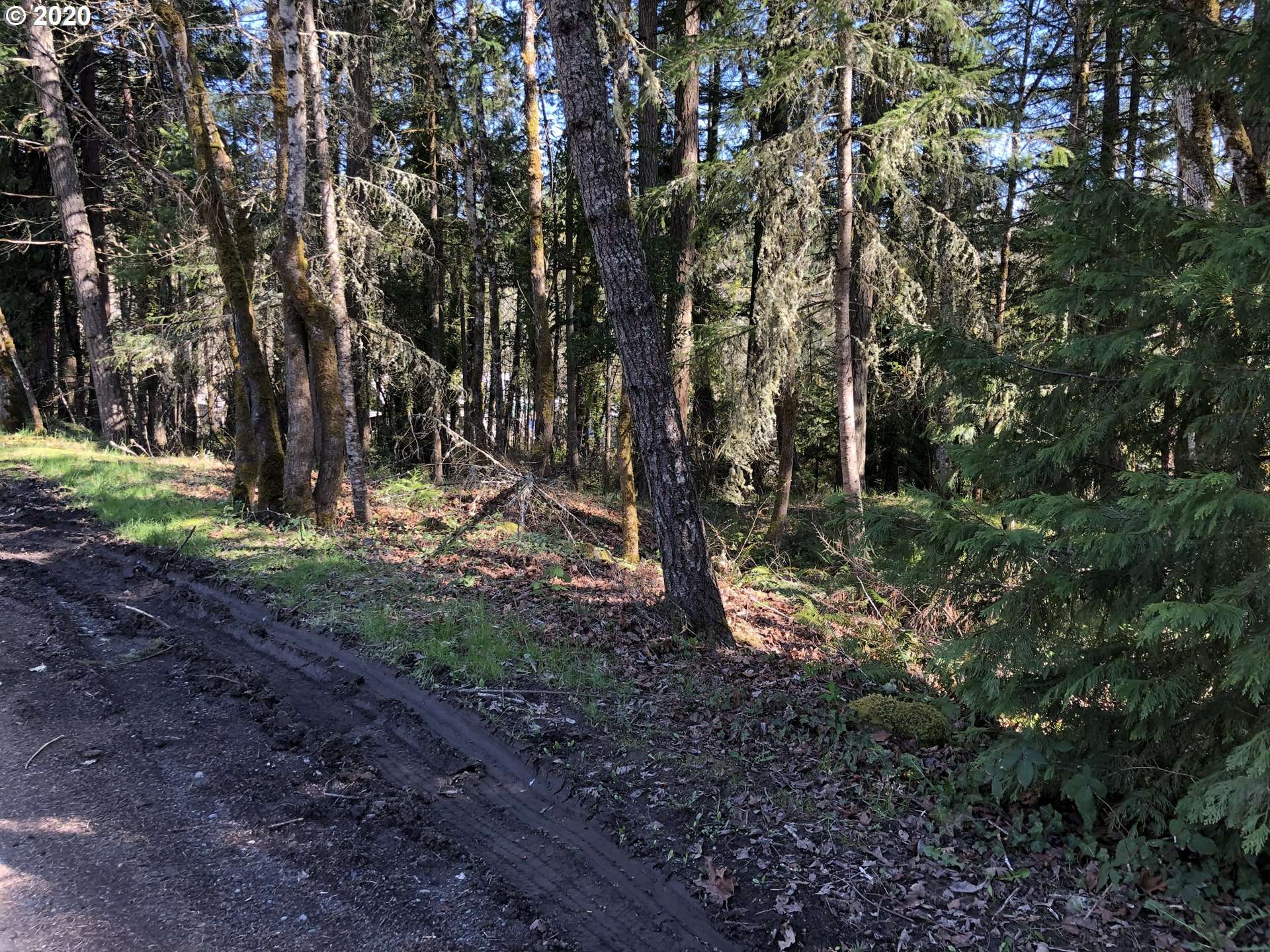 W Roberts RD #6800, Oakridge, OR 97463