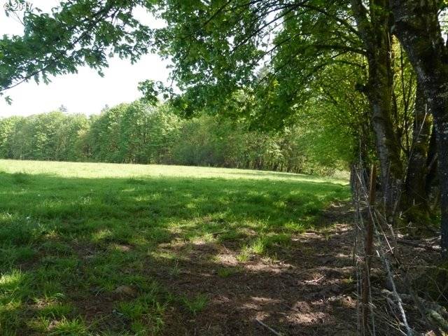 Warren, OR 97053,Wills LN #Lot 4