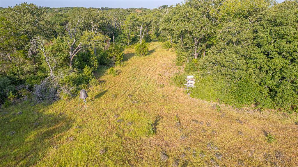 Calvert, TX 77837,000 TBD Rose Hill Rd.