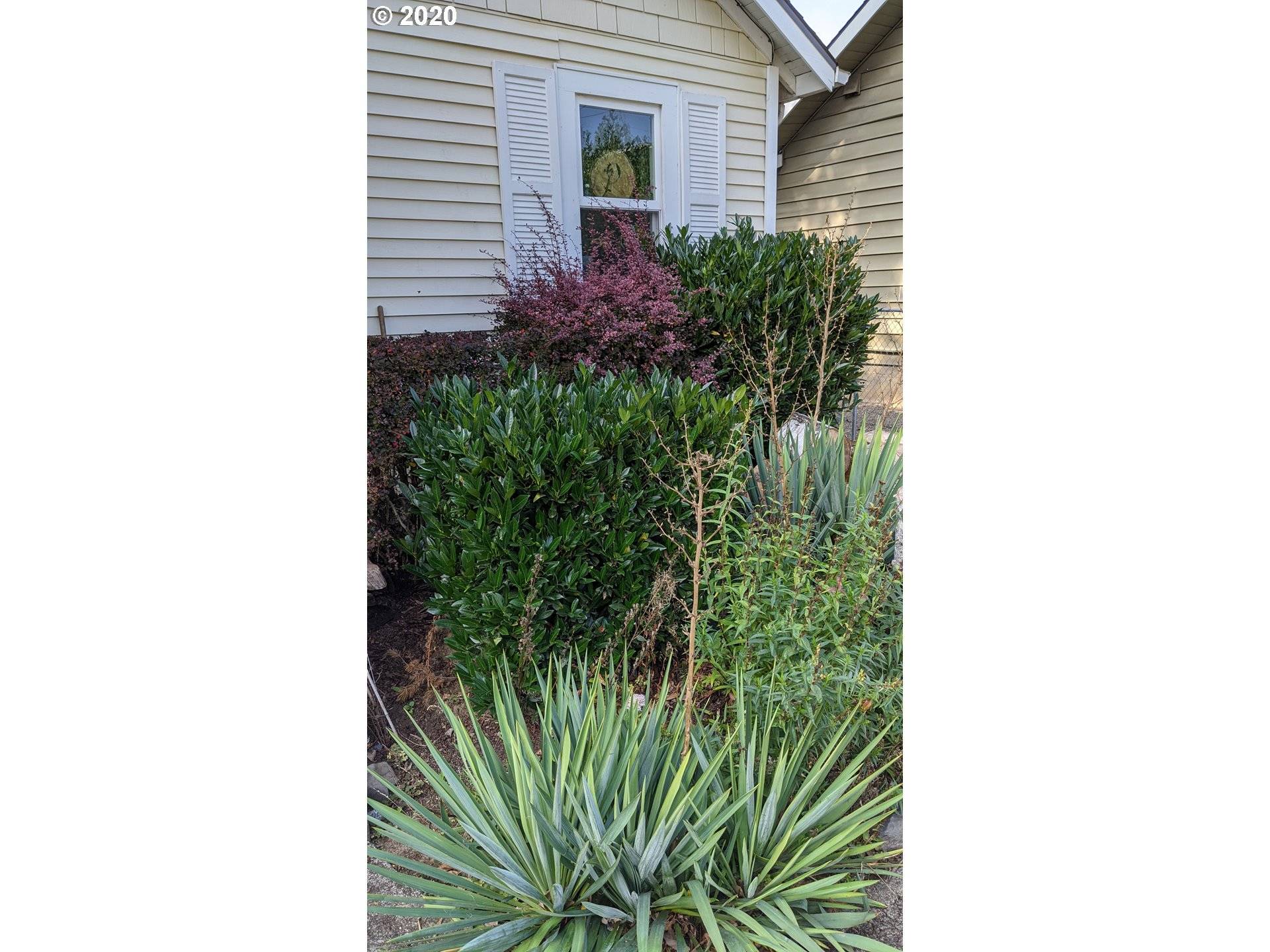 Portland, OR 97203,8931 N HAVEN AVE