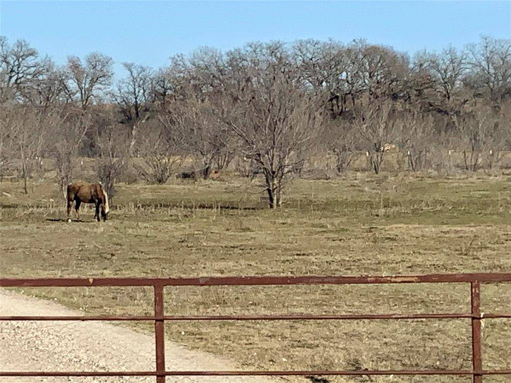 Millsap, TX 76066,249 Shotgun Lane