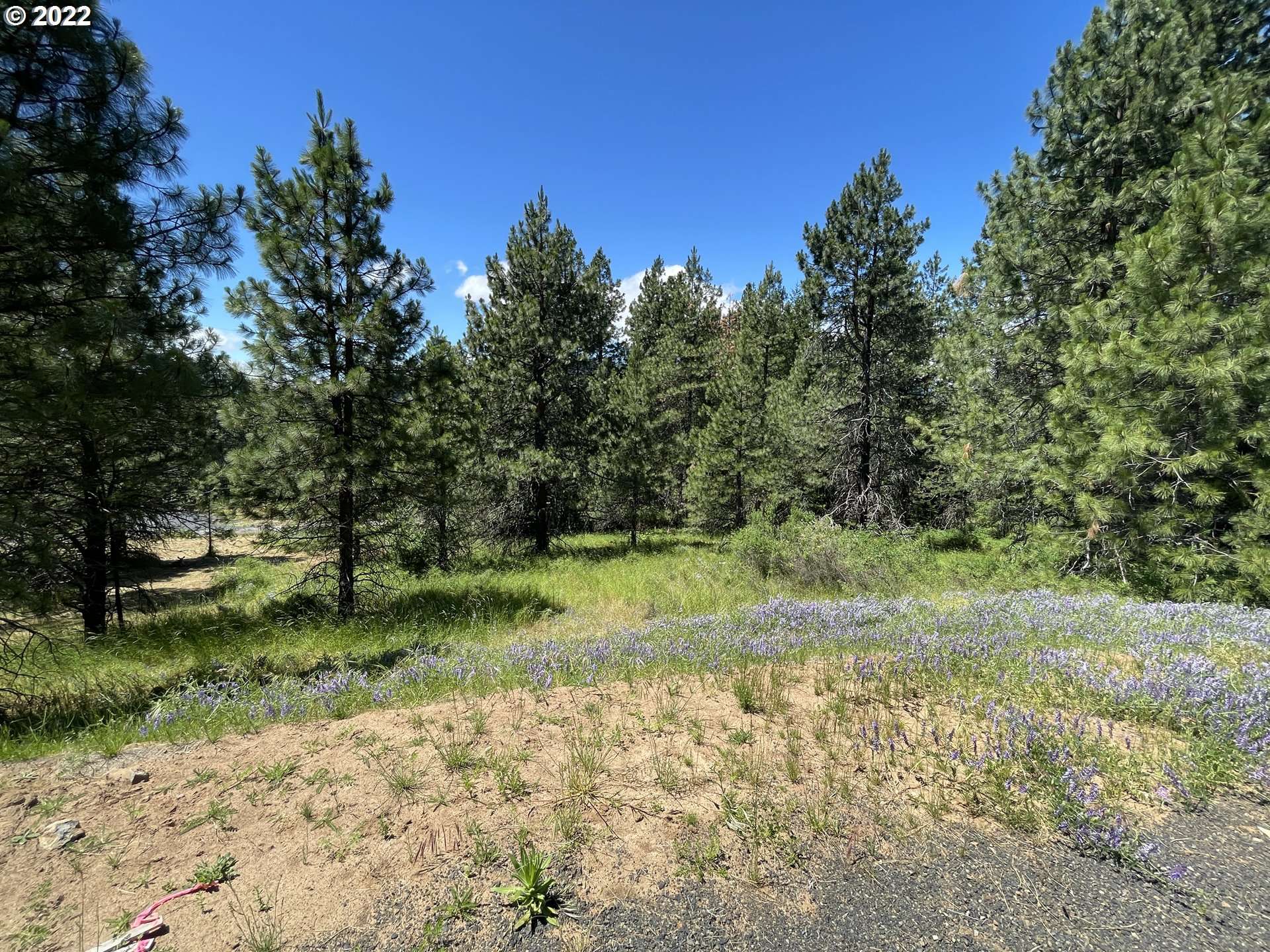 White Salmon, WA 98672,NW Howard CT #Lot 2