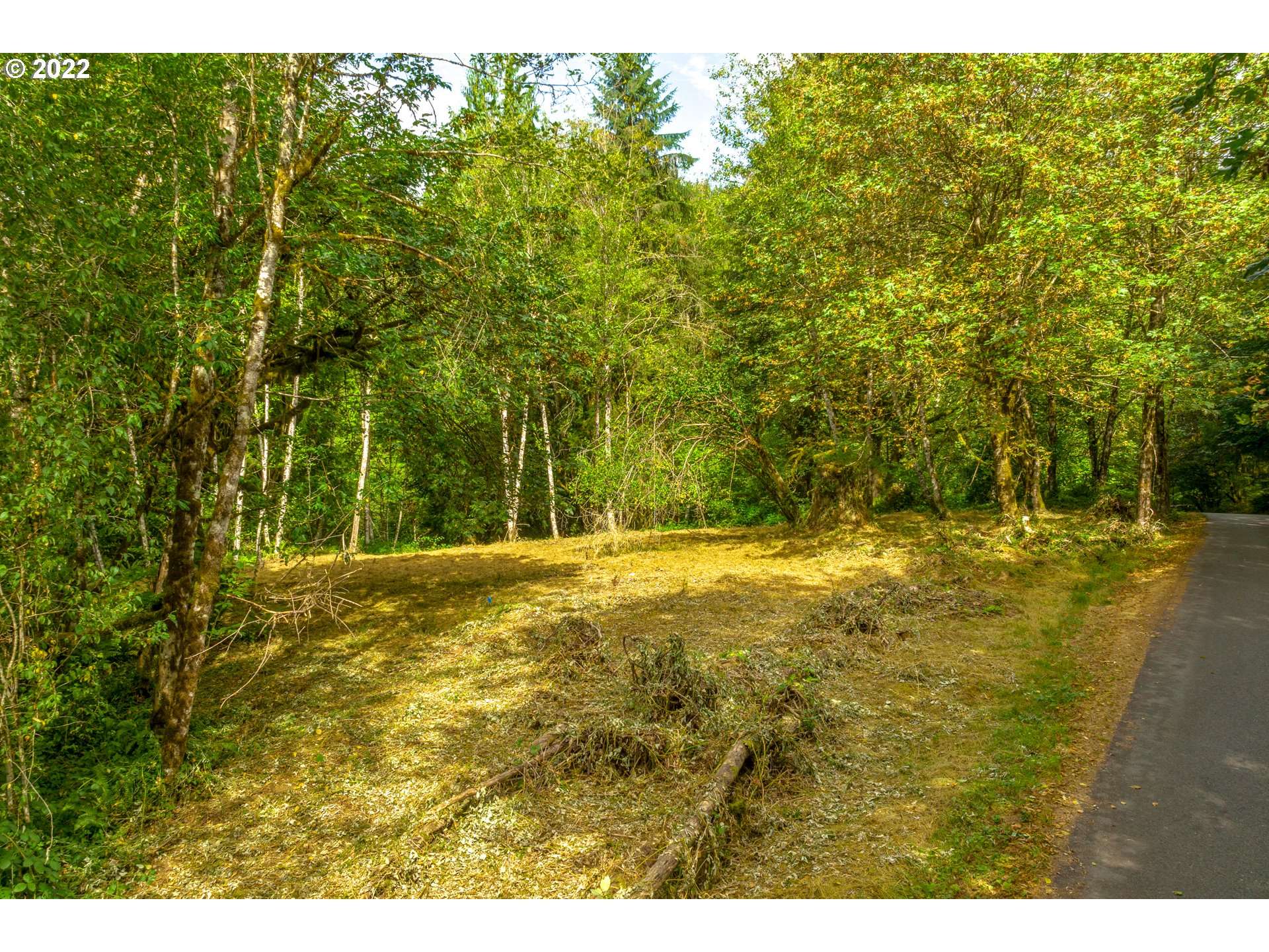 Brush Prairie, WA 98606,00 NE Echo Ridge RD