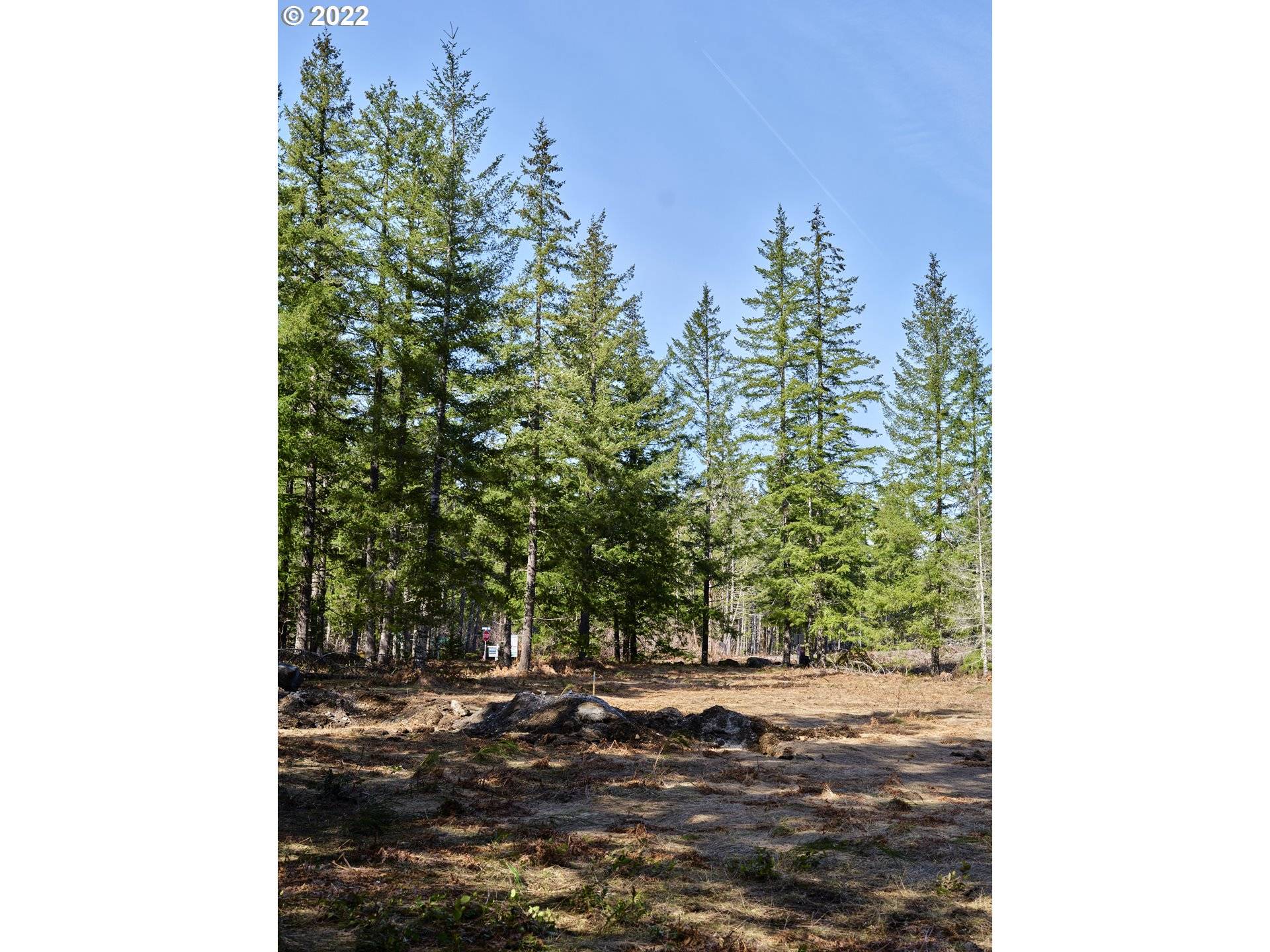 Cougar, WA 98616,6 Loowit LN