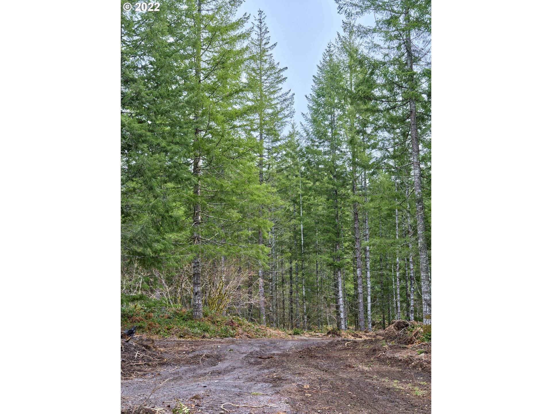 Cougar, WA 98616,Lahar LN #1A