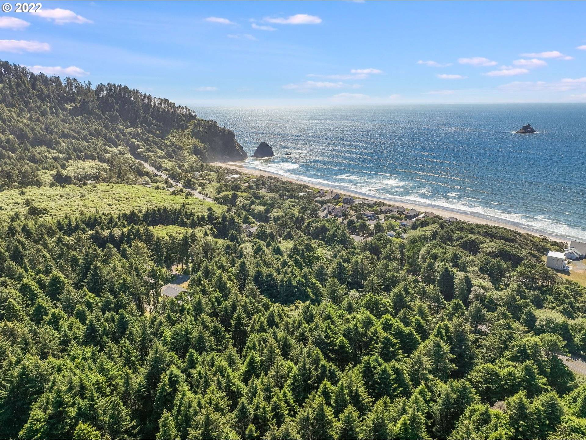 Arch Cape, OR 97102,Lion Rock