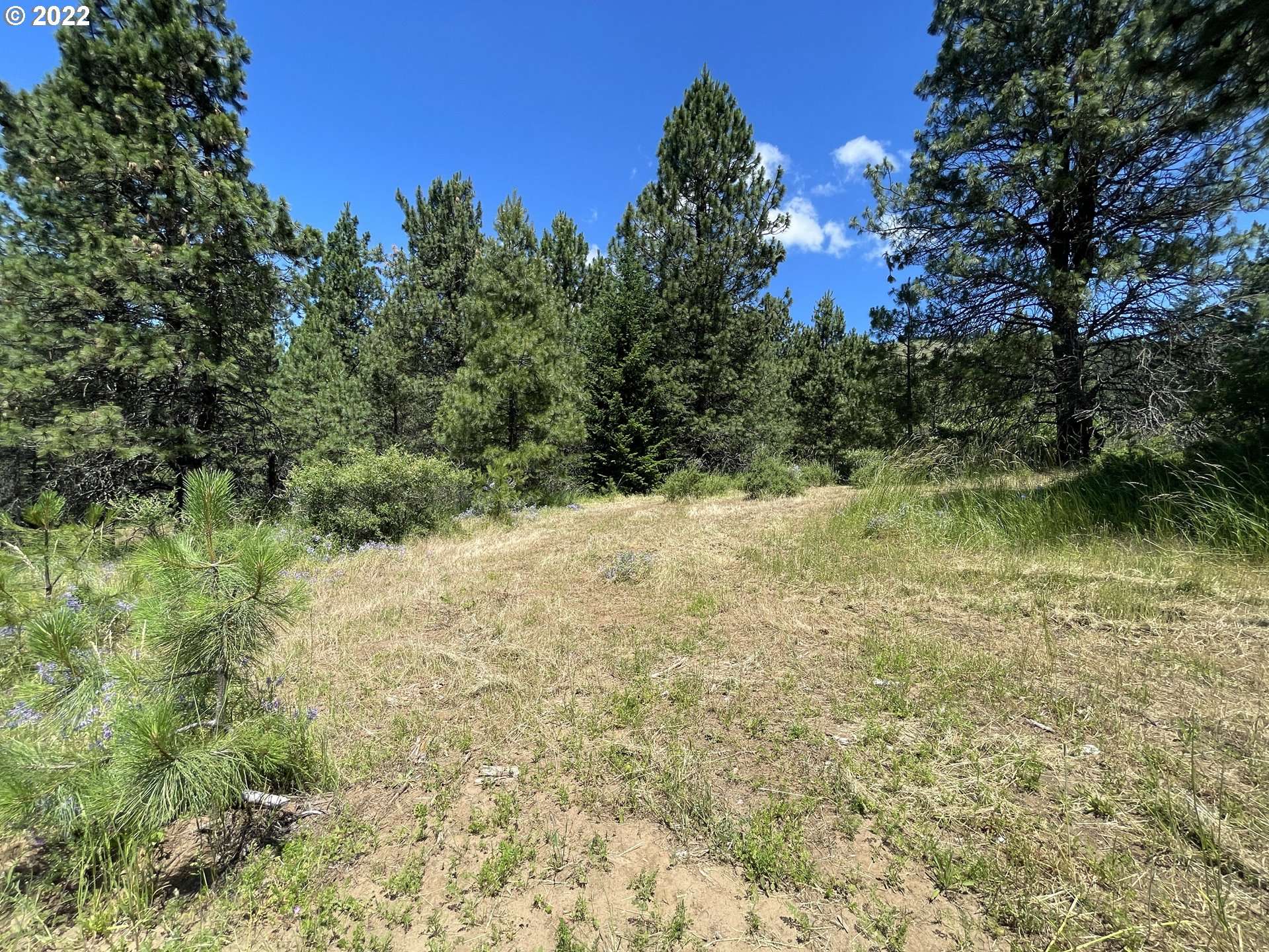 White Salmon, WA 98672,NW Howard CT #Lot 3