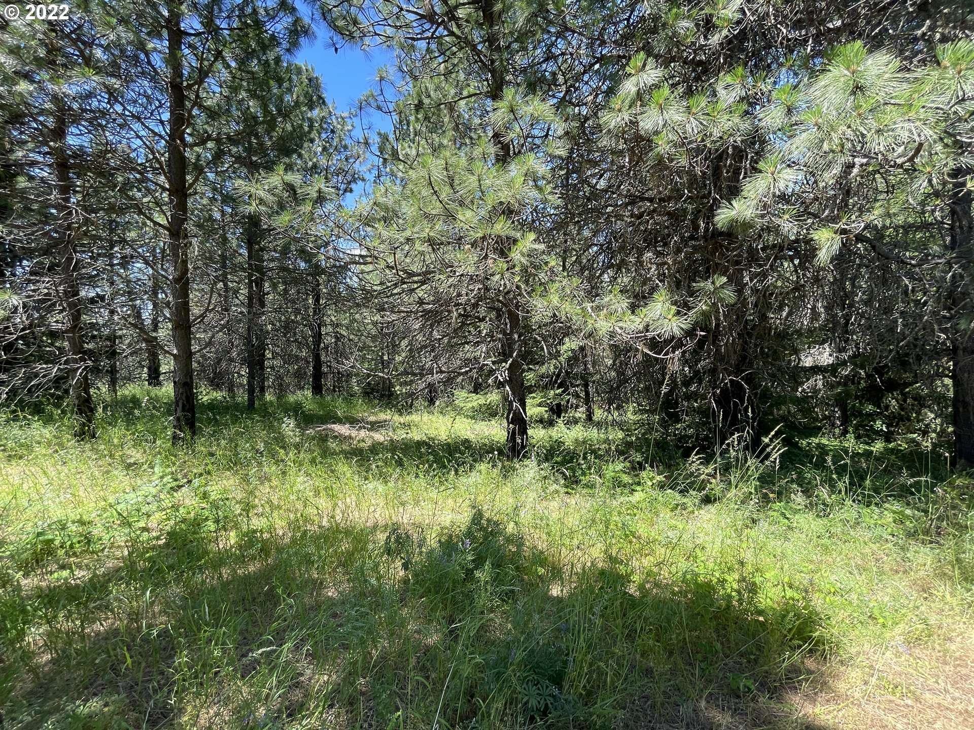 White Salmon, WA 98672,NW Howard CT #Lot 3