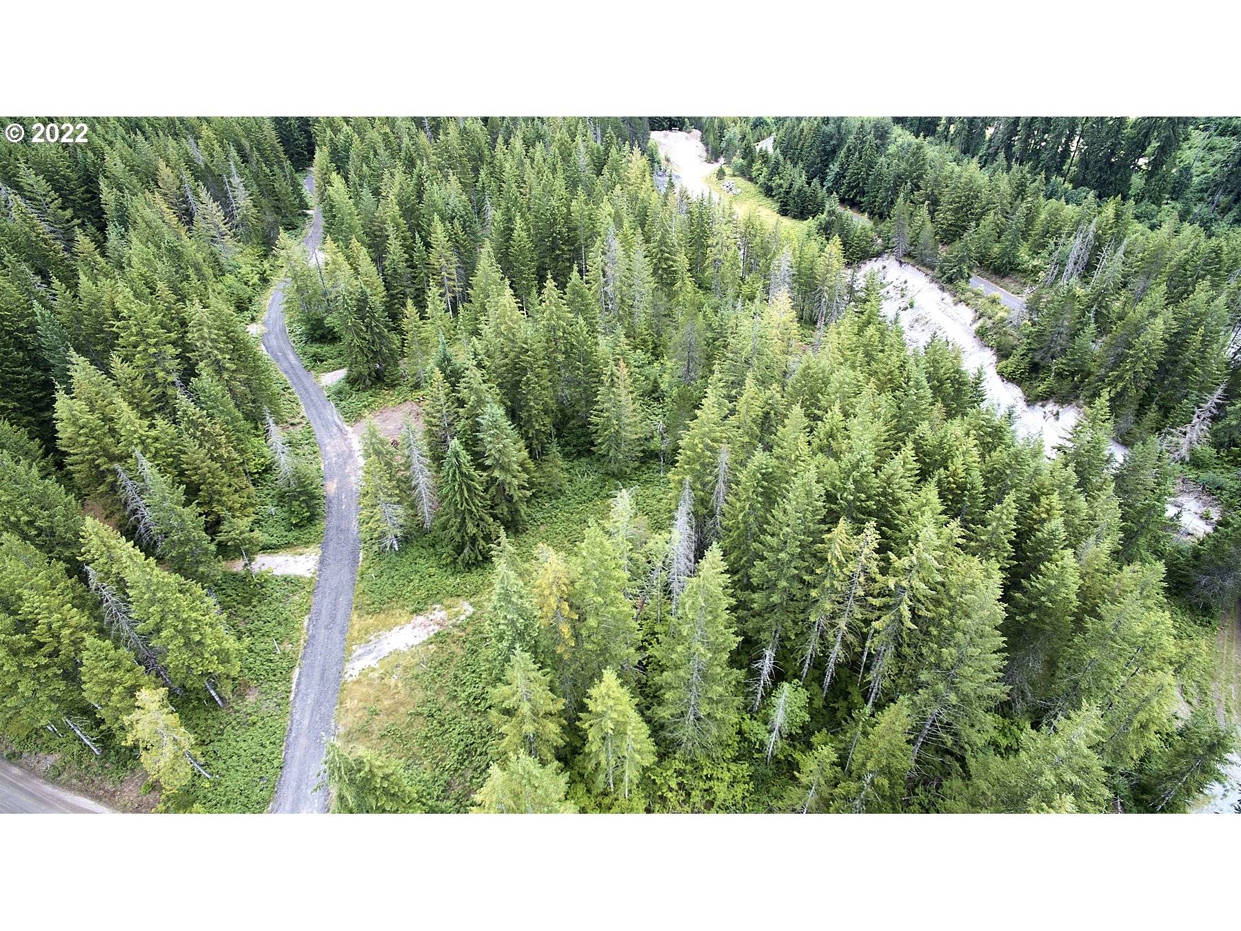 Cougar, WA 98616,1 Lahar LN