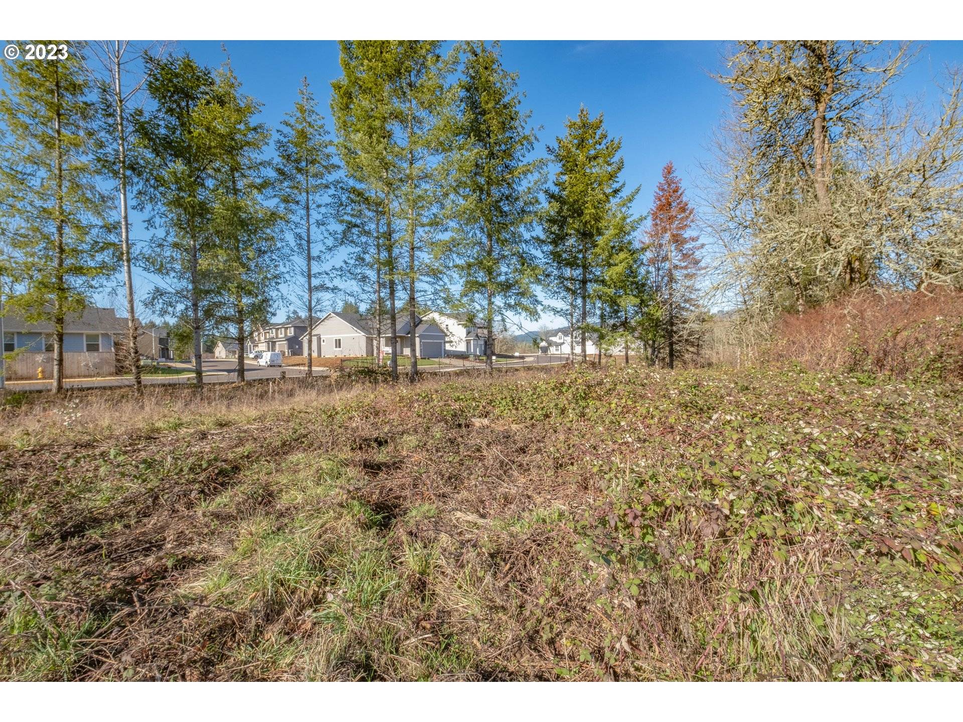 Sweet Home, OR 97386,1355 45th AVE #Lot15