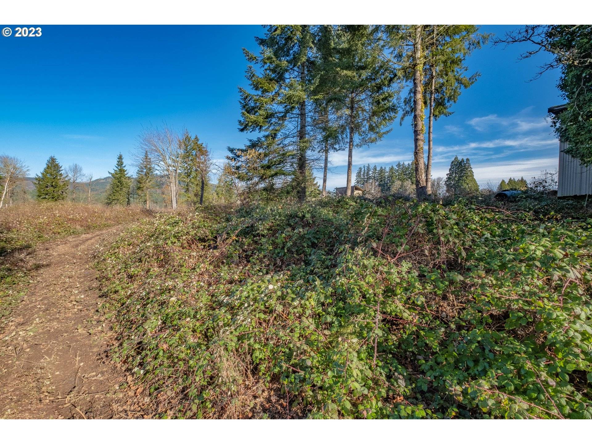 Sweet Home, OR 97386,1355 45th AVE #Lot15