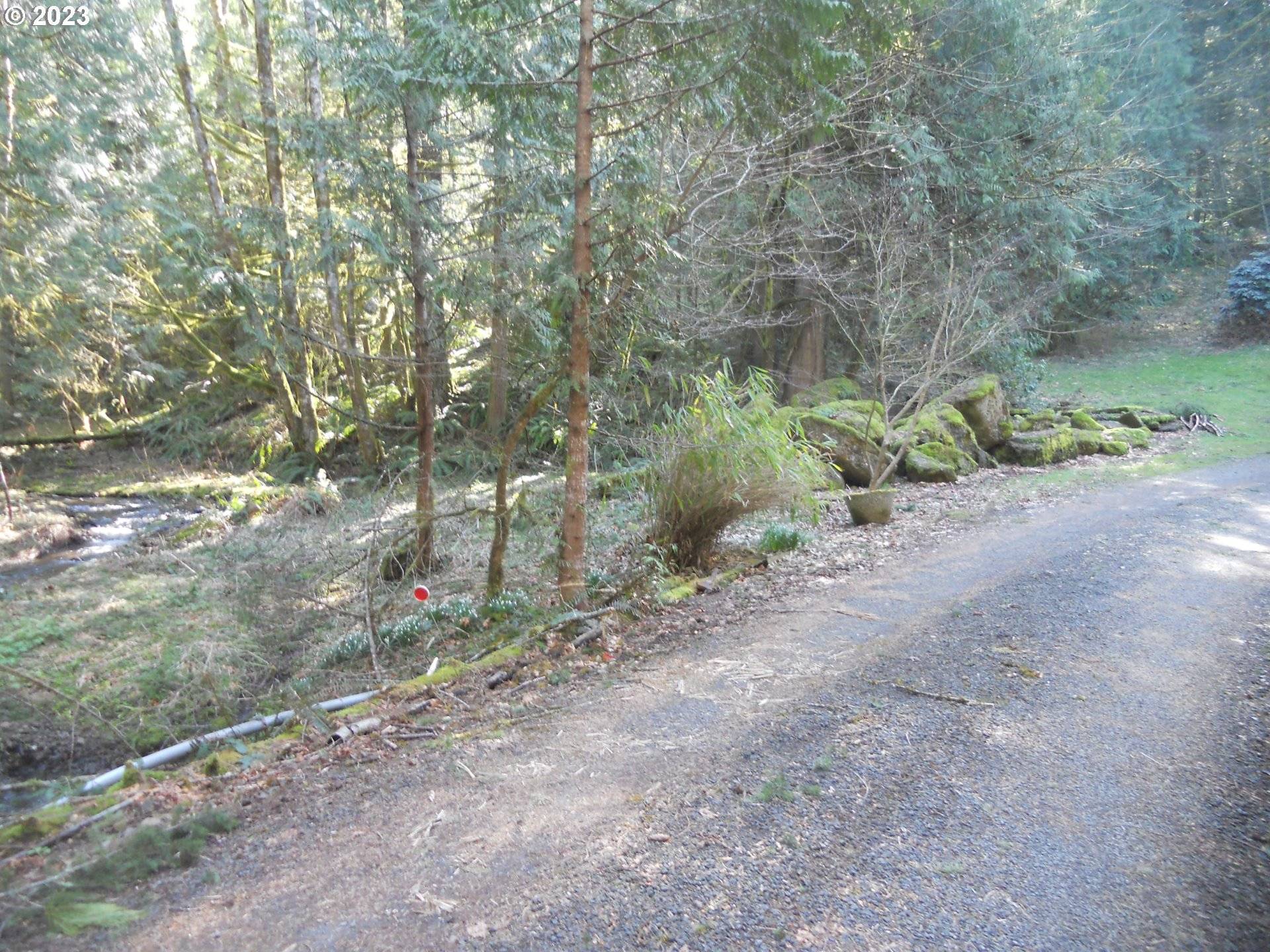 Battle Ground, WA 98604,NE Basket Flat RD